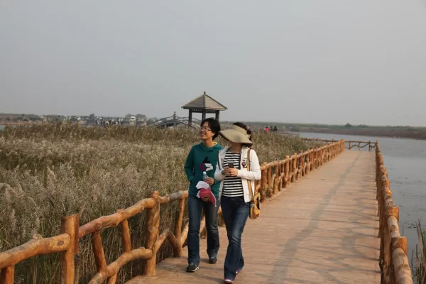 东营黄河入海口和孤东海堤哪个好？一日游怎么玩最尽兴？