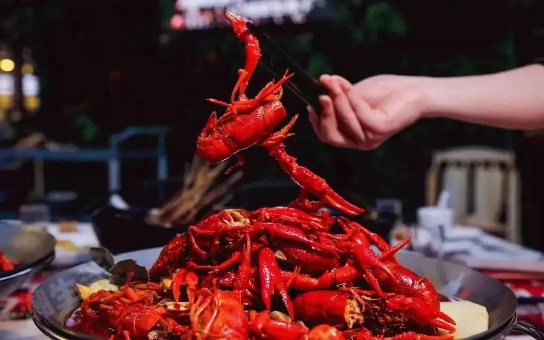 小龙虾挂机赚钱是真的吗,app下载靠谱吗?