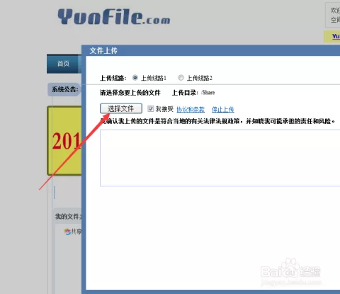 用yunfile能赚多少钱?真实收益情况如何?