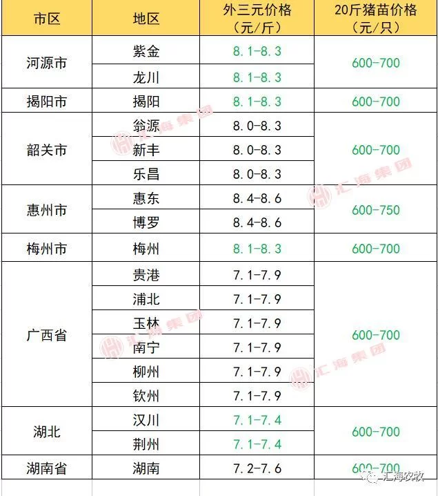 生猪打码怎么操作,打码器多少钱一台?