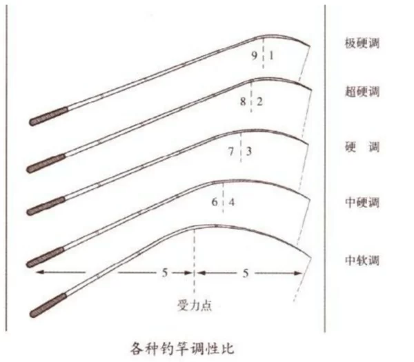 如何一眼看出鱼竿调数?教你轻松识别好坏