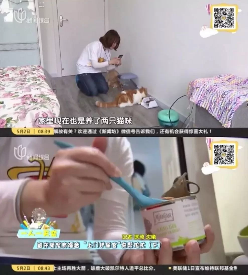 上海上门喂猫兼职靠谱吗,一天20家能找到猫吗?