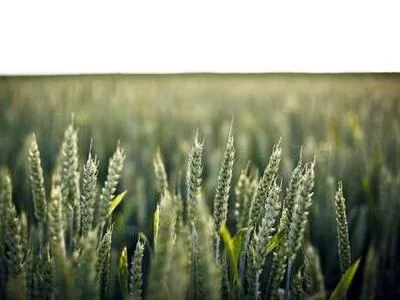 图腾卡盟设计素材