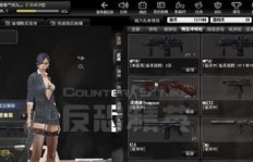 csol刷枪QQ和宏真的有用吗？