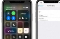 QQ刷XS Max在线免费？iPhone 12也能这样操作吗？