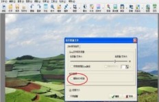 QQ刷标志的方法有哪些？如何快速获取QQ标识？