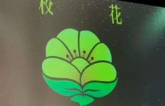 如何高效进行QQ小世界代刷粉？