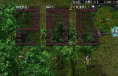 QQ华夏刷金等级要求是多少？刷金币需要几级？
