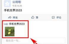 如何在QQ刷评论中有效收款？