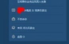 QQ刷的访客为何看不见了？