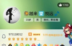寻找刷会员QQ群名？这里有大全集，创意无限！