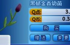 如何高效提升QQ炫舞家族友好度？刷友好度的正确方法！