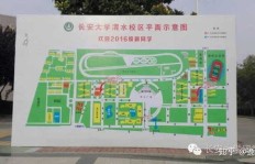 聊城大学校内餐厅盈利状况如何？是否值得一探？