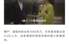 杨先生为何偏爱副业？背后有何深层原因？