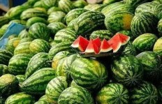 如何高效使用在线平台为西瓜增粉？