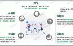 如何高效提升小红书粉丝数量？秘密方法大公开？