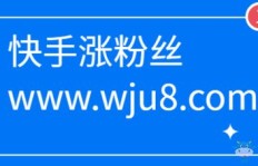 如何高效为他人增涨快手粉丝？操作技巧大公开！