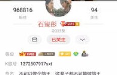 K歌粉丝多有用吗？探索全民K歌刷粉大师的低价秘密？