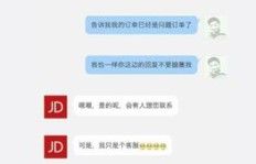 京东刷粉、刷销量涉嫌违法？真实性与后果深度剖析