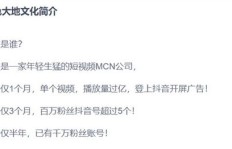 抖音粉丝达到5000后遭遇限流，如何突破流量瓶颈？