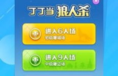 如何使用丁丁软件刷粉丝？丁丁粉丝工场与刷卡赚钱秘诀解析