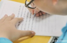 海秋如何高效吸引初级粉丝，刷帖技巧大探究？