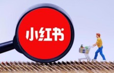 小红书粉丝量如何变现？粉丝破万后能带来哪些收益？