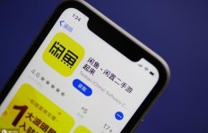 如何在闲鱼高效增粉？实操技巧大公开！