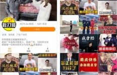 如何利用快手刷粉丝软件？这部视频教程告诉你！