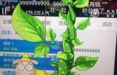 一亿触手币粉丝狂热背后，刷币软件真的那么神奇？