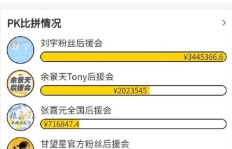 购买粉丝服务，粉丝数量真能永久保持吗？