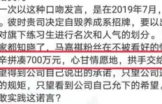 粉丝巨额集资背后，是纯粹的热爱还是刷票疑云？