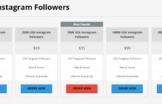 如何快速增加Instagram粉丝？实操技巧大公开！
