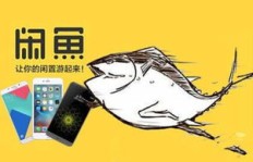 闲鱼刷粉后，遭遇限流怎么办？
