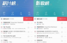靠谱吗？网易云音乐刷粉丝网站工具效果探究