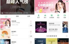 如何正确增加唱鸭粉丝？操作暂停后怎样获取真实粉丝？