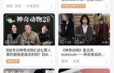 如何使用卡盟提升B站粉丝数量？B站会员与粉丝牌的秘密？