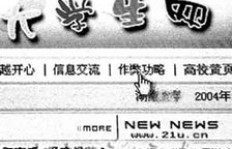 粉丝数量作弊，真的能助你登上热门宝座吗？