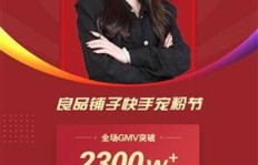 如何高效打造快手粉丝帝国？专业团队操作秘籍！