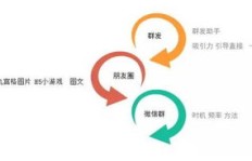 如何高效提升金投网粉丝数量？技巧大公开！