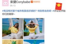 淘宝微淘粉丝会因刷粉而减少吗？了解来源与增粉技巧