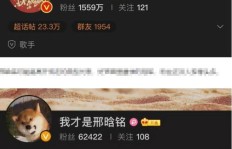 刷了微博粉丝，却为何依旧无人问津？