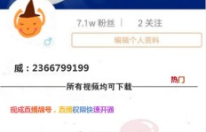 如何迅速提升快手粉丝数？快手法秘籍网页版大公开！