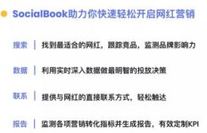 如何有效刷海外网红粉丝？海外网红营销未来趋势与收入解析
