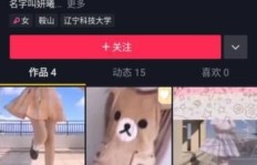 如何有效提升抖音粉丝量？接口秘籍来了！