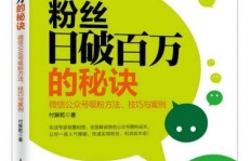 如何在贝比岛上快速增加粉丝？秘诀大公开！
