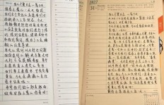 如何用17生活点滴温暖记录，刷粉丝的方式有哪些？