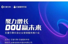 哪家平台能高效助力抖音粉丝增长？代理服务靠谱吗？