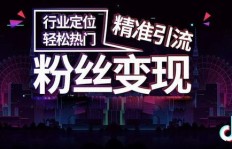 如何深度挖掘抖音粉丝视频的独家精彩？