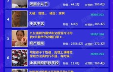合法途径增加粉丝？快手刷粉丝的操作合规性探究